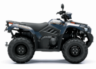 KAWASAKI BRUTE FORCE 450-T CAT